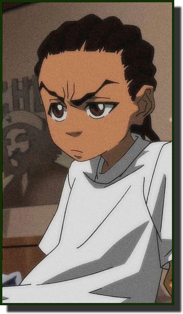 Read more about the article The Boondocks Capturing Culture