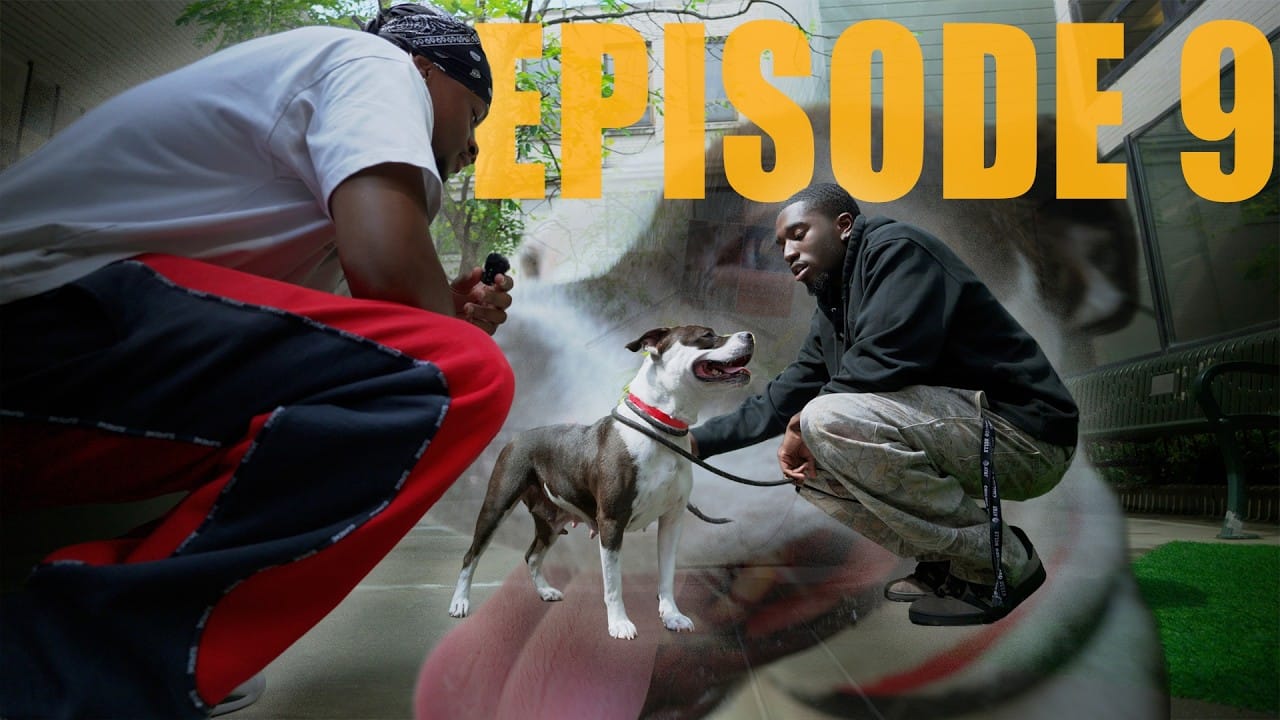 Episode 9 - Meet Fiona